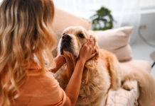 Kafshët shtëpiake rol thelbësor në mirëqenien emocionale dhe psikologjike