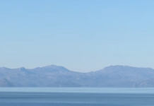 Liqeni i Shkodrës në Zogaj, “shtëpi” për larmi lloje zogjsh