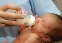 Zvicra paralajmëron për toksinë cereulide në produktet për foshnjat