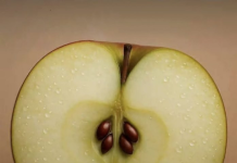 Farat e mollës, përfitimet dhe rreziqet e fshehura