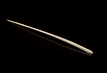 Gjilpëra 12 000-vjeçare zbulojnë si mbijetuan njerëzit e Epokës së Akullit në Amerikën e Veriut