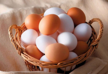 Vezë kafe apo të bardha, cila është diferenca mes tyre?