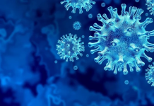 Cilat janë viruset më të rrezikshëm për njerëzimin?