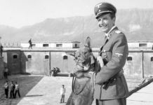 Naim Frashëri, aktori që dominonte skenën me rolet e dramaturgjisë botërore dhe kombëtare