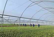 Fermerët mund të shlyejnë kontributet e prapambetura pa gjoba e kamatëvonesa deri në 31 dhjetor 2026