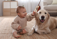 Fëmijët që rriten me kafshë shtëpiake mund të jenë më pak të prirur ndaj alergjive ushqimore