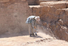 Njerëzit i regjistronin informacionet 40 mijë vjet më parë