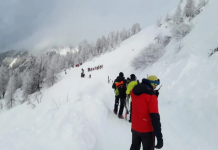 Austria raporton 26 të vdekur nga orteqet këtë sezon