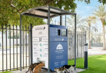 Dubai përdor stacionet inteligjente për të ushqyer macet e rrugës