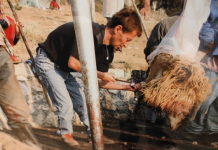 Ekspozita “Le të fillojë gjuetia!”