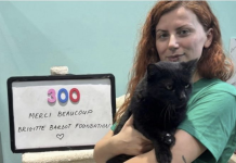 300 mace të rrugës do të sterilizohen falas në Shkodër