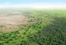 Sahara ishte e gjelbër 8 mijë vjet më parë