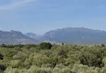 Monitorim me dron për zbulimin e zjarreve në Shkodër