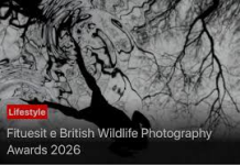 Fituesit e British Wildlife Photography Awards 2026