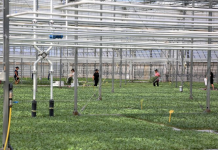 Mbështetja për mbrojtjen biologjike rritet në 70%