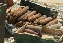 Gjenden rreth 160 predha nga Lufta e Dytë Botërore në Selenicë