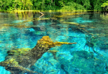 Syri i Kaltër, destinacion i vizitorëve