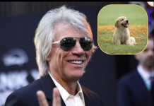 Jon Bon Jovi investon 5 milionë dollarë për shpëtimin e qenve endacakë në SHBA