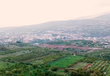 Plantacionet e qershive në Dibër