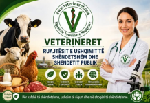 Roli i veterinerëve në shëndetin publik