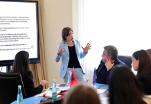 Raporti i planit strategjik për Galerinë e re Kombëtare të Arteve