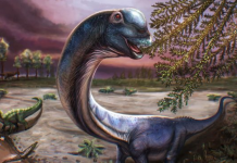 Identifikohet në Tajlandë një nga dinosaurët më të mëdhenj në Azinë Juglindore