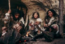 Neandertalët para 50 000 vjetësh përdornin antibiotikë natyralë
