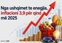 Nga ushqimi tek energjia, ku u rritën më shumë çmimet në 2025-ën në Kosovë