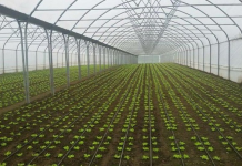 Qeveria ndryshon rregullat për regjistrimin dhe përdorimin e produkteve për mbrojtjen e bimëve
