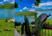 Lugina e Drinit, destinacion në rritje për turizmin e natyrës dhe aventurës në Kukës
