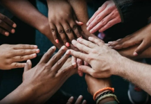 Diversiteti Kulturor për Dialogun dhe Zhvillimin