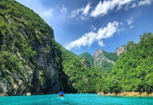 Lumi i Shalës, korridor ekologjik kyç për biodiversitetin lokal