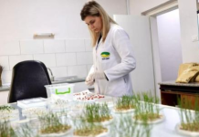82 projekte do të financohen për Programin Kombëtar të Kërkimit dhe Zhvillimit
