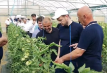 Demonstrime për mbrojtjen biologjike të bimëve në Lushnjë
