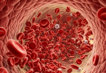 Një analizë gjaku zbulon moshën biologjike të 11 organeve dhe parashikon rrezikun e sëmundjeve