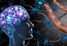 Pllaka inteligjente monitoron ilaçin për parkinsonin përmes djersës