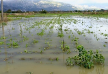 Kreta shpall gjendjen e emergjencës pas shirave katastrofikë